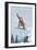 Snowboarder Jumping - Keystone, Colorado, c.2008-Lantern Press-Framed Art Print