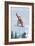 Snowboarder Jumping - Washington-Lantern Press-Framed Art Print