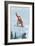 Snowboarder Jumping - Washington-Lantern Press-Framed Art Print