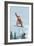 Snowboarder Jumping-Lantern Press-Framed Art Print