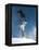 Snowboarder Mid-Air During Jump-null-Framed Premier Image Canvas