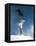 Snowboarder Mid-Air During Jump-null-Framed Premier Image Canvas