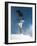 Snowboarder Mid-Air During Jump-null-Framed Photographic Print