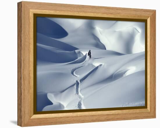 Snowboarder Riding in Powder Snow, Austria, Europe-Ted Levine-Framed Premier Image Canvas