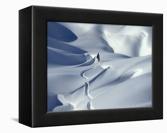 Snowboarder Riding in Powder Snow, Austria, Europe-Ted Levine-Framed Premier Image Canvas