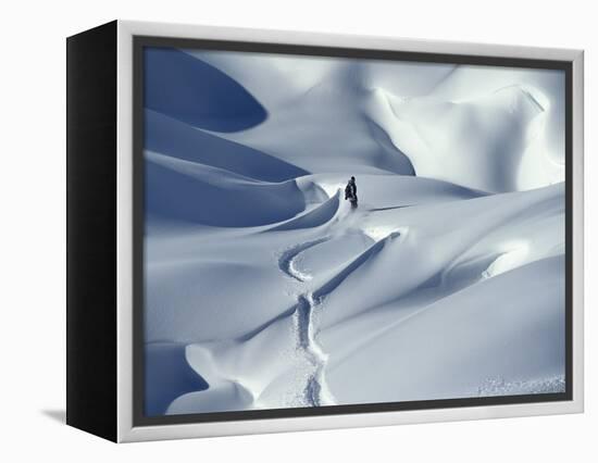 Snowboarder Riding in Powder Snow, Austria, Europe-Ted Levine-Framed Premier Image Canvas