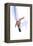 Snowboarder Stylized-Lantern Press-Framed Stretched Canvas