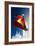 Snowboarder-Lantern Press-Framed Premium Giclee Print