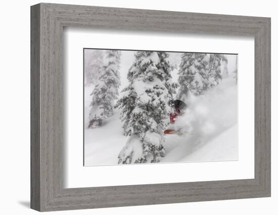 Snowboarding in powder at Whitefish Mountain, Montana, USA-Chuck Haney-Framed Photographic Print