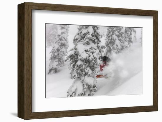 Snowboarding in powder at Whitefish Mountain, Montana, USA-Chuck Haney-Framed Photographic Print