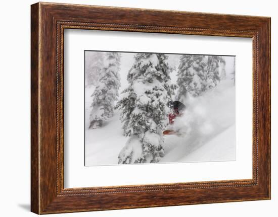 Snowboarding in powder at Whitefish Mountain, Montana, USA-Chuck Haney-Framed Photographic Print