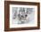 Snowboarding in powder at Whitefish Mountain, Montana, USA-Chuck Haney-Framed Photographic Print