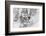 Snowboarding in powder at Whitefish Mountain, Montana, USA-Chuck Haney-Framed Photographic Print