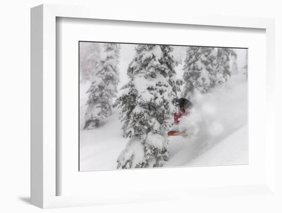 Snowboarding in powder at Whitefish Mountain, Montana, USA-Chuck Haney-Framed Photographic Print