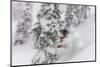 Snowboarding in powder at Whitefish Mountain, Montana, USA-Chuck Haney-Mounted Photographic Print