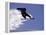 Snowboarding in Santa Fe, New Mexico, USA-Lee Kopfler-Framed Premier Image Canvas