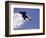 Snowboarding in Santa Fe, New Mexico, USA-Lee Kopfler-Framed Photographic Print