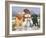 Snowboy with Little Friends-William Vanderdasson-Framed Giclee Print