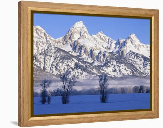 Snowcapped Mountains and Bare Tree, Grand Teton National Park, Wyoming, USA-Scott T^ Smith-Framed Premier Image Canvas