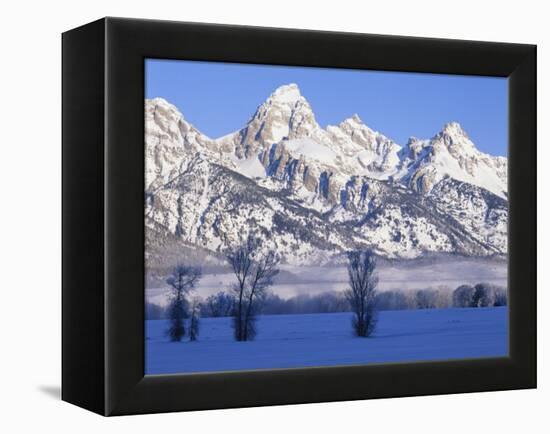 Snowcapped Mountains and Bare Tree, Grand Teton National Park, Wyoming, USA-Scott T^ Smith-Framed Premier Image Canvas