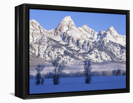 Snowcapped Mountains and Bare Tree, Grand Teton National Park, Wyoming, USA-Scott T^ Smith-Framed Premier Image Canvas