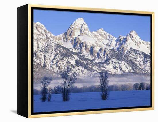 Snowcapped Mountains and Bare Tree, Grand Teton National Park, Wyoming, USA-Scott T^ Smith-Framed Premier Image Canvas
