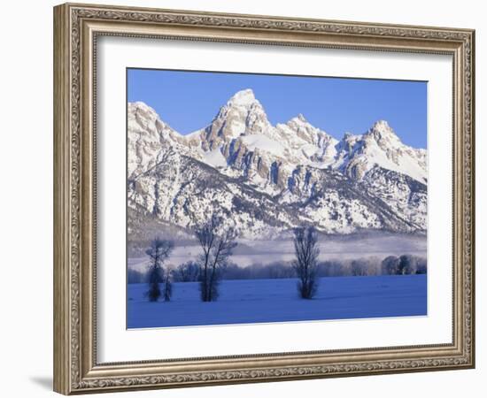 Snowcapped Mountains and Bare Tree, Grand Teton National Park, Wyoming, USA-Scott T^ Smith-Framed Photographic Print