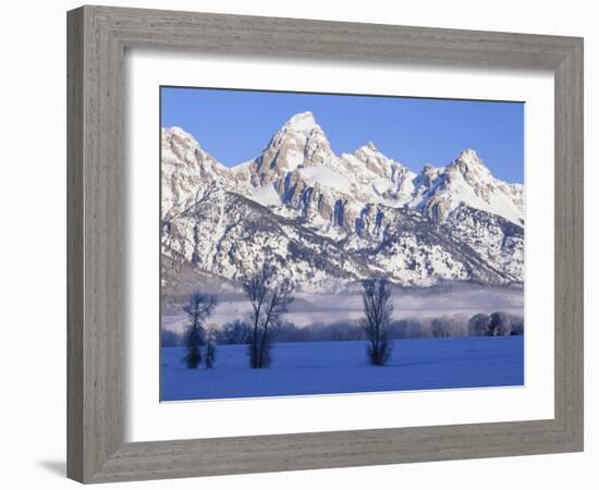 Snowcapped Mountains and Bare Tree, Grand Teton National Park, Wyoming, USA-Scott T^ Smith-Framed Photographic Print