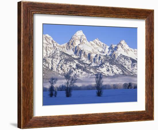 Snowcapped Mountains and Bare Tree, Grand Teton National Park, Wyoming, USA-Scott T^ Smith-Framed Photographic Print