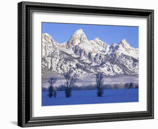 Snowcapped Mountains and Bare Tree, Grand Teton National Park, Wyoming, USA-Scott T^ Smith-Framed Photographic Print