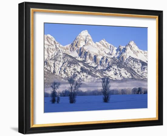 Snowcapped Mountains and Bare Tree, Grand Teton National Park, Wyoming, USA-Scott T^ Smith-Framed Photographic Print