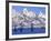 Snowcapped Mountains and Bare Tree, Grand Teton National Park, Wyoming, USA-Scott T^ Smith-Framed Photographic Print