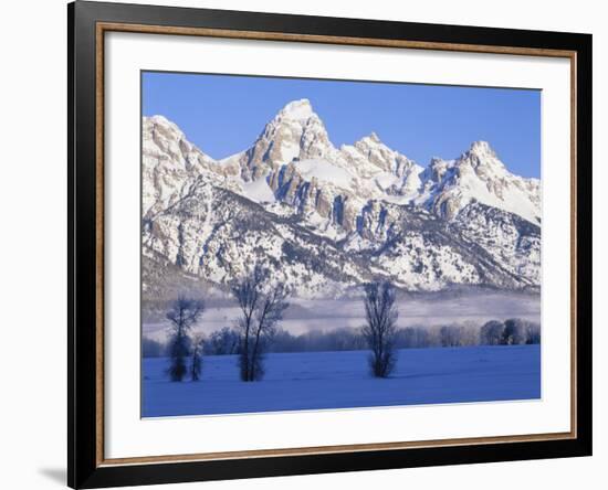 Snowcapped Mountains and Bare Tree, Grand Teton National Park, Wyoming, USA-Scott T^ Smith-Framed Photographic Print