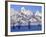 Snowcapped Mountains and Bare Tree, Grand Teton National Park, Wyoming, USA-Scott T^ Smith-Framed Photographic Print