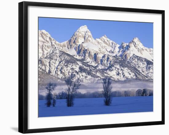 Snowcapped Mountains and Bare Tree, Grand Teton National Park, Wyoming, USA-Scott T^ Smith-Framed Photographic Print