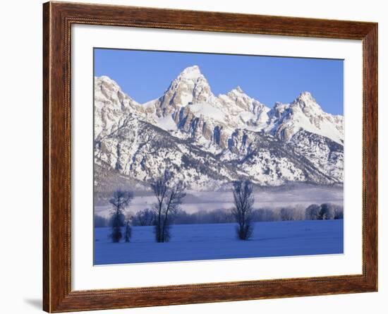 Snowcapped Mountains and Bare Tree, Grand Teton National Park, Wyoming, USA-Scott T^ Smith-Framed Photographic Print