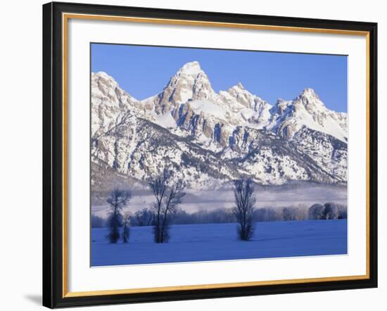 Snowcapped Mountains and Bare Tree, Grand Teton National Park, Wyoming, USA-Scott T^ Smith-Framed Photographic Print