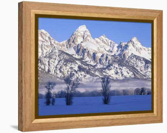 Snowcapped Mountains and Bare Tree, Grand Teton National Park, Wyoming, USA-Scott T^ Smith-Framed Premier Image Canvas