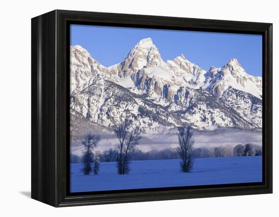 Snowcapped Mountains and Bare Tree, Grand Teton National Park, Wyoming, USA-Scott T^ Smith-Framed Premier Image Canvas