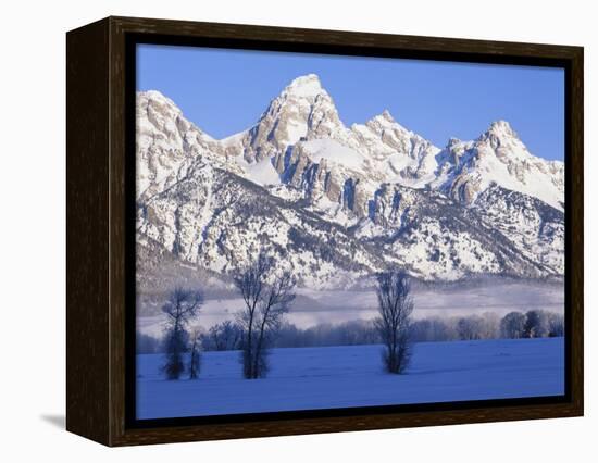 Snowcapped Mountains and Bare Tree, Grand Teton National Park, Wyoming, USA-Scott T^ Smith-Framed Premier Image Canvas