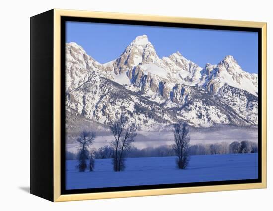 Snowcapped Mountains and Bare Tree, Grand Teton National Park, Wyoming, USA-Scott T^ Smith-Framed Premier Image Canvas