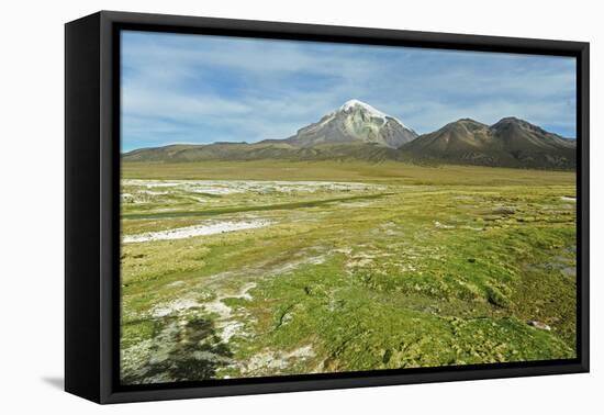 Snowcapped volcano Sajama, Sajama National Park, Bolivia-Anthony Asael-Framed Premier Image Canvas