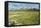 Snowcapped volcano Sajama, Sajama National Park, Bolivia-Anthony Asael-Framed Premier Image Canvas