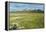 Snowcapped volcano Sajama, Sajama National Park, Bolivia-Anthony Asael-Framed Premier Image Canvas