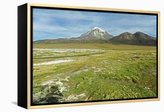 Snowcapped volcano Sajama, Sajama National Park, Bolivia-Anthony Asael-Framed Premier Image Canvas