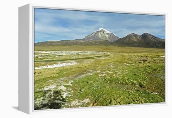 Snowcapped volcano Sajama, Sajama National Park, Bolivia-Anthony Asael-Framed Premier Image Canvas