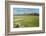 Snowcapped volcano Sajama, Sajama National Park, Bolivia-Anthony Asael-Framed Photographic Print