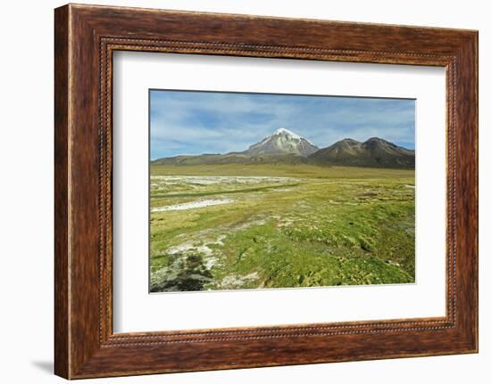 Snowcapped volcano Sajama, Sajama National Park, Bolivia-Anthony Asael-Framed Photographic Print