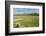 Snowcapped volcano Sajama, Sajama National Park, Bolivia-Anthony Asael-Framed Photographic Print