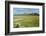 Snowcapped volcano Sajama, Sajama National Park, Bolivia-Anthony Asael-Framed Photographic Print